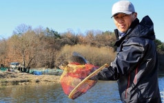 경북 경산 대창천_맑은 물색 아랑곳 않은 월척들 난립