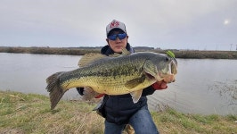 5월의 호황터_ 서천 부사호 펀칭으로 뗏장수초 군락을 두들겨라