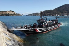 시즌개막_ 금오열도 개도에 벚꽃 감성돔 만개