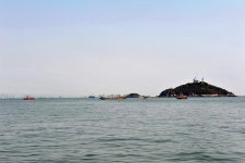 인천 영흥도 앞바다_대광어 다운샷 시즌 빨라지고 마릿수도 업그레이드