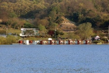 용인 두창 낚시터_ 밤새 입질에 동 터오는 줄도 모르고