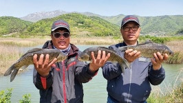6월의 유망 붕어낚시터_양사리수로 작년 여름 발굴공개, 올해는 마릿수 업그레이드
