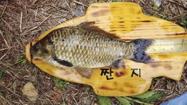 경기 여주 남한강_ 금당천 합수머리의 월척 환타지