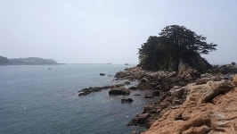 [충남 서천 홍원리] 내만 감성돔 메카 오력도 올해도 이름값 톡톡히 하는구나!