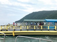 [행사] 부산대 경영대학원 낚시동호회(PMFC) 정출