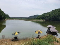 8월의 유망 붕어낚시터_경기 안성 동항지