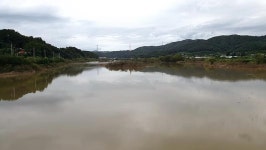 충북  진천 백곡지_사정교 하류 연안이 핫스팟 떠내려 온 큰 나무가 배스의 은신처