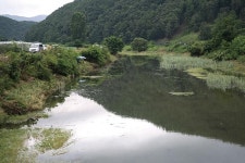 충북 음성 초평천_ 큰비 끝나면 가보세요 원남지 붕어 입질 대기 중