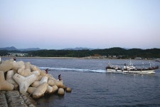 경북 울진 죽변방파제_ 잡어 속 숨은 벵에돔과 술래잡기