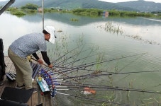 경기 안성 고삼지_4년 만의 만수로 한여름에 월척 사태
