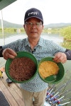 경기 안성 고삼지_4년 만의 만수로 한여름에 월척 사태