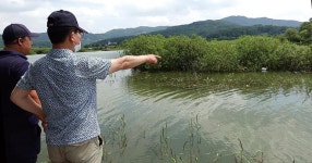 경기 안성 고삼지_4년 만의 만수로 한여름에 월척 사태