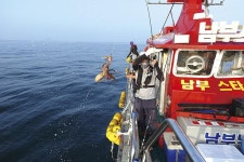 전북 격포 배낚시_ 2020 가을 돌문어는 격포가 킹·왕·짱