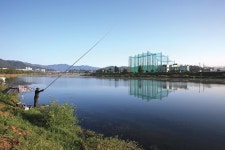 [연재 신동현의 낙동강 순례 49] 깨끗한 체색과 강한 힘에 매료 문경 영강 신영강교