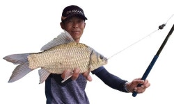 [충남 홍성 상지천] 광천읍내의 붕어 명당 “형님, 그곳에 월척 많아요”