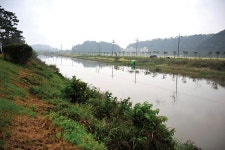 [충남 홍성 상지천] 광천읍내의 붕어 명당 “형님, 그곳에 월척 많아요”