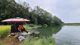 [대어] 창녕 희야지에서 54.8cm 붕어