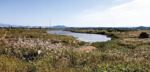 [이달의 유망터] 11월 전남 | 나주 영산강 강변저류지