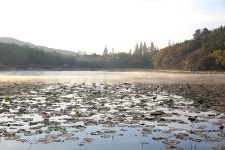 [이달의 유망터] 12월 경남 창녕 장척지