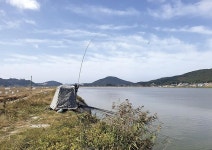 충남 태안 죽림지_  12월! 겨울 물낚시 최고의 월척 찬스가 왔다