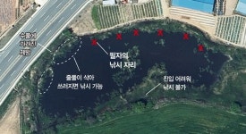 전북 고창 학천소류지_ 길옆에 있어 지나칠 뻔 수초밭에서 참한 월척 붕어가