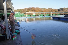 [추천! 캠핑낚시터 ] 부여 캠피그라운드 낚시터·캠핑장·카라반까지 ‘캠낚’ 풀코스