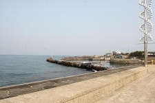 [신년 특별기획 제주도에서 2박3일 낚시하고 오기] 제주도 본섬 ‘영끌’ 포인트 42