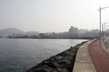 [신년 특별기획 제주도에서 2박3일 낚시하고 오기] 제주도 본섬 ‘영끌’ 포인트 42