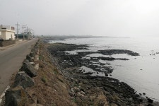 [신년 특별기획 제주도에서 2박3일 낚시하고 오기] 제주도 본섬 ‘영끌’ 포인트 42