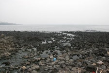 [신년 특별기획 제주도에서 2박3일 낚시하고 오기] 제주도 본섬 ‘영끌’ 포인트 42