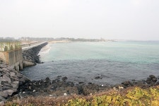 [신년 특별기획 제주도에서 2박3일 낚시하고 오기] 제주도 본섬 ‘영끌’ 포인트 42