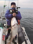 [대어] 울진 오산항 앞바다에서 115.4cm 대구 국내 최대어 탄생