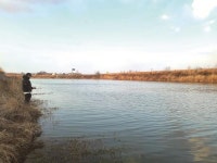 [전남 해남 금자천과 신흥소류지] 수온 빨리 오르는 지류와 소류지가 답