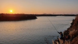 [제주 서귀표 무릉저류지] 최남단 섬붕어를 찾아서