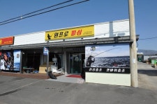 [제주도 지귀도] 영등 귀리는 얕은 여밭에 있다
