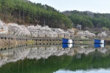 [연재 손태성의 유료터 탐방] 공주 고성낚시터_호젓하고 경관 수려한 힐링낚시터
