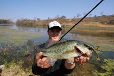 [전남 담양 증암천] 벚꽃 필 때 호남행