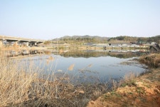 [경북 상주 목가지] 밤낮없이 입질 쇄도하는 마릿수 꿀단지