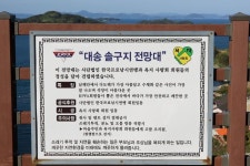 [테마기획 섬으로 떠나는 낚시와 여행] 섬 트레킹·바다낚시 일번지 통영 욕지도 