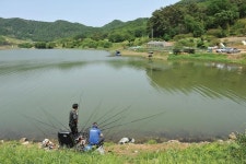[전북 군산 부곡지] 양날의 검_양수형 저수지에서 만난 4짜