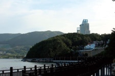[경남 거제 옥림방파제] 무늬오징어 피크 시즌_걸면 킬로 오버다!