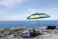 [전남 완도 청산도] 동쪽에선 돌돔이 안 낚인다며? 동편 마당바위 낮은자리에서 53cm 포획