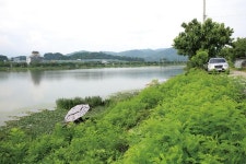 [경북 문경 영강] 영강생활체육공원 앞은 불황 모르는 붕어 화수분