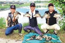 [경북 문경 영강] 영강생활체육공원 앞은 불황 모르는 붕어 화수분