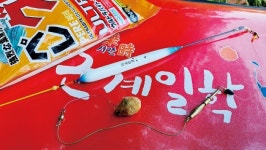 [전남 강진 탐진강] 전설의 용소 붕어를 찾아서