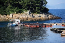 [테마기획_섬으로 떠나는 낚시와 여행] 캠낚과 힐낚을 모두 원한다면! 통영 노대도