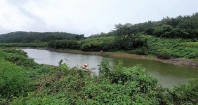 [경남_창녕 옥산소류지] 4년 전 말랐던 곳 맞아? 폭우처럼 쏟아지는 입질 깜놀