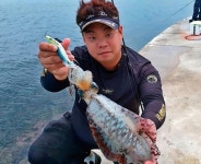 [경북_울진 죽변항] 킬로 오버 무늬오징어가 덜컥