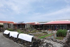 [FISHING TRAVEL] 붕어낚시인들의 바다낚시 이야기_제주 가파도 1박2일
