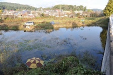 [충남_아산 영인낚시터] 유료터 포인트 개척 미션_좌대에 가려진 연안 명당을 찾아라